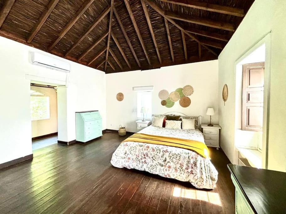 Los Matos, Canarian House In Valleseco Exterior photo